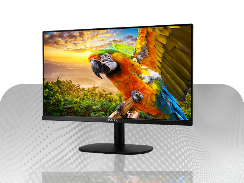 Monitores